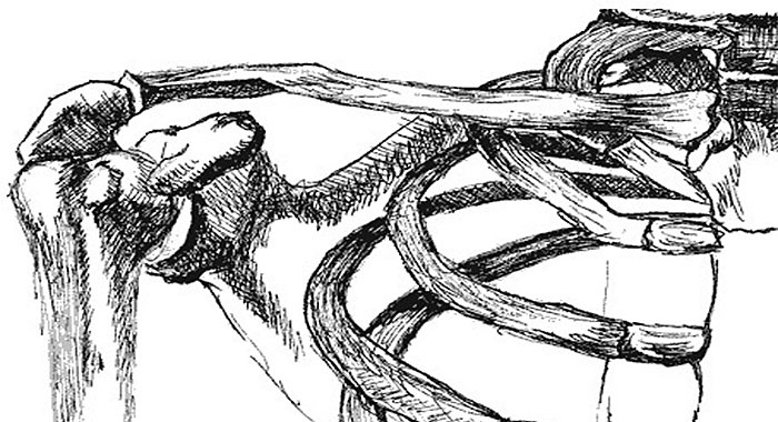 A Soha többé vállfájás! műhely anyagai